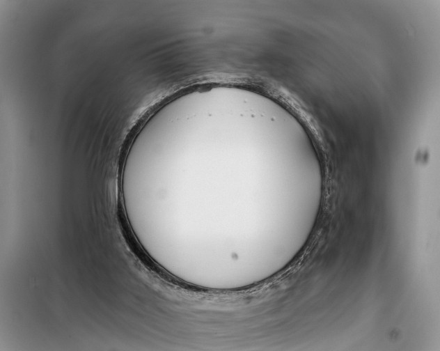 X0000098030011200804181241