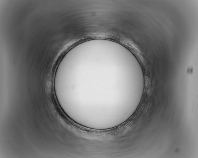 X0000098030012200804181241