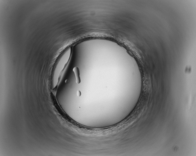 X0000098030015200804181241