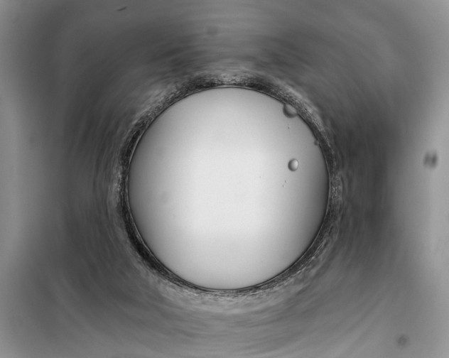 X0000098030018200804181241