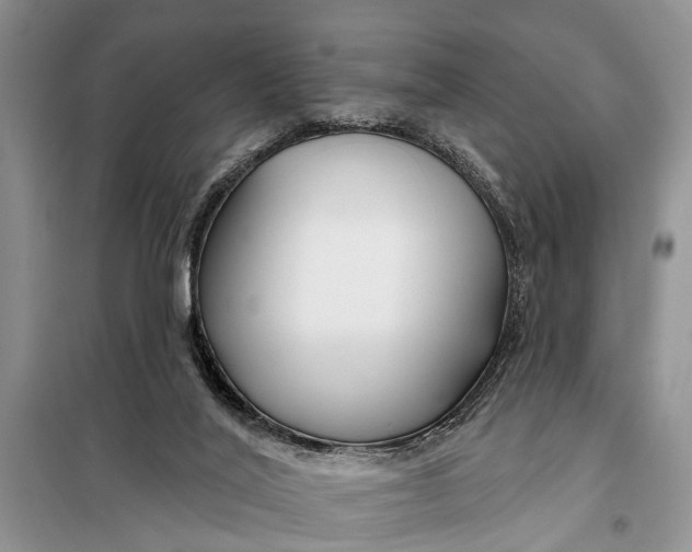 X0000098030020200804181241