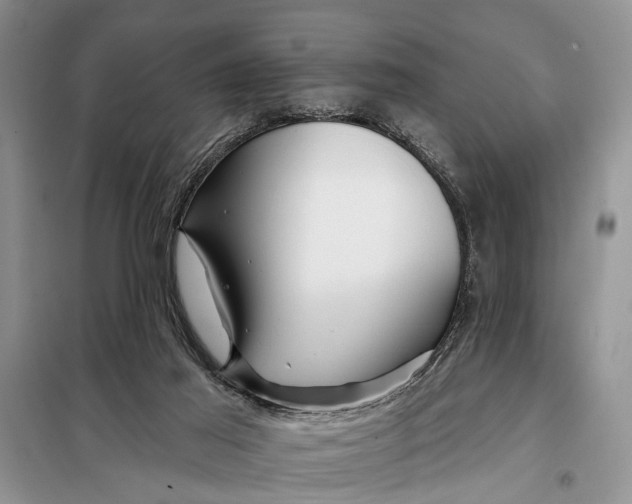 X0000098030021200804181241