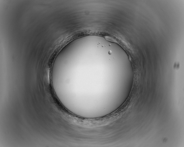 X0000098030022200804181241