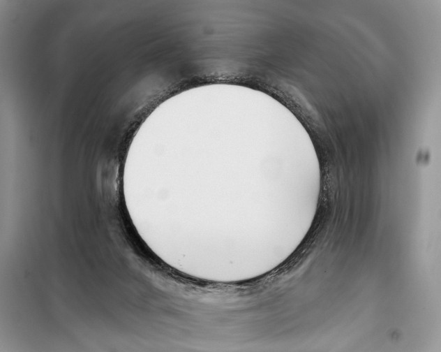 X0000098030024200804181241