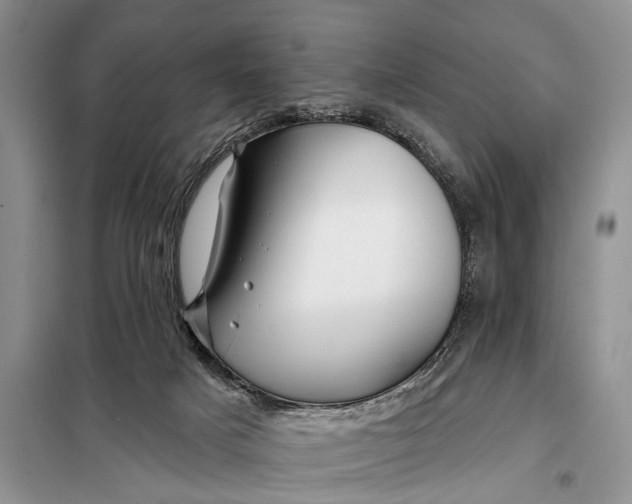 X0000098030025200804181241