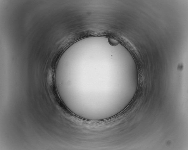 X0000098030026200804181241