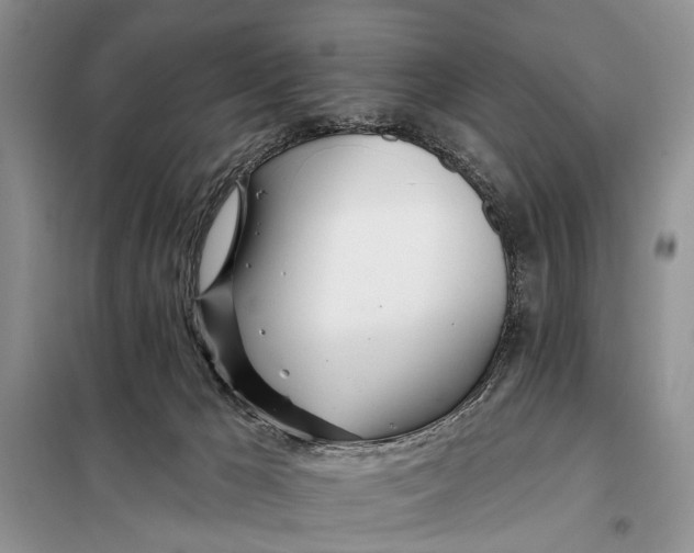 X0000098030029200804181241