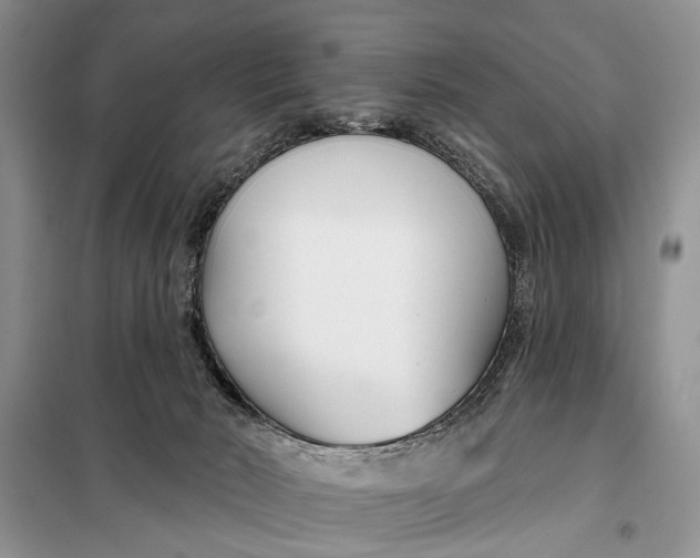 X0000098030030200804181241