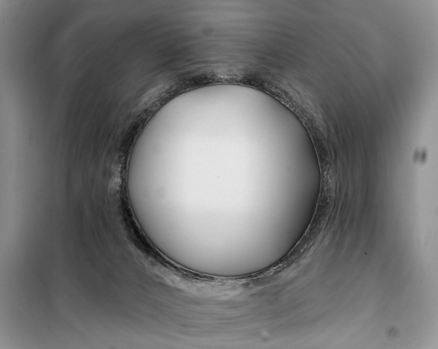 X0000098030032200804181241