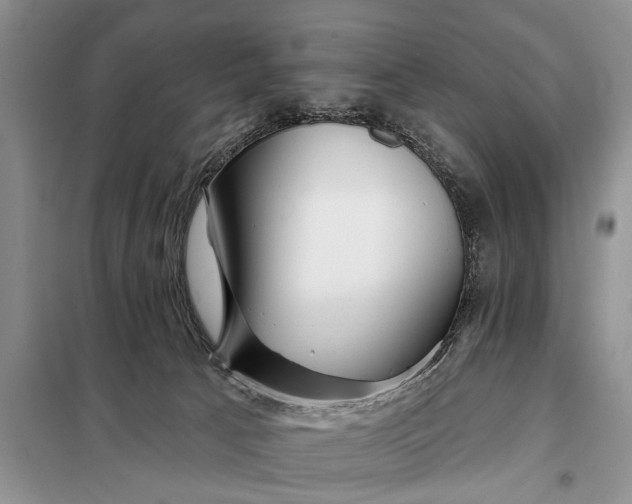 X0000098030033200804181241