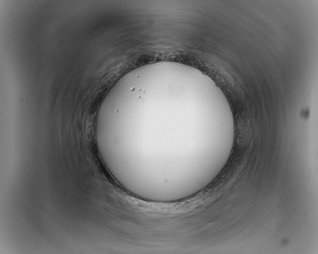 X0000098030034200804181241