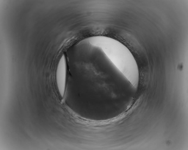 X0000098030035200804181241