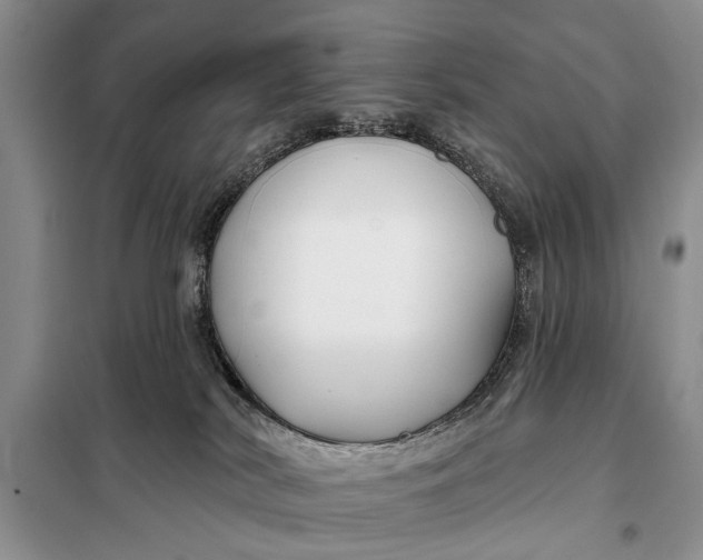 X0000098030038200804181241