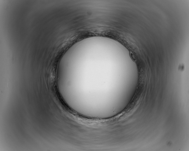 X0000098030040200804181241