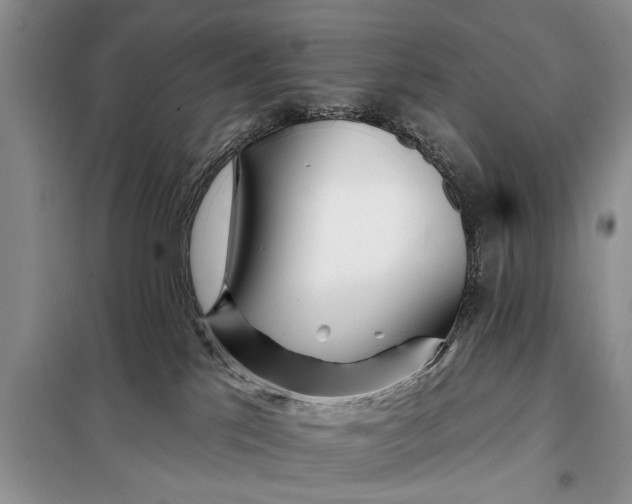 X0000098030041200804181241