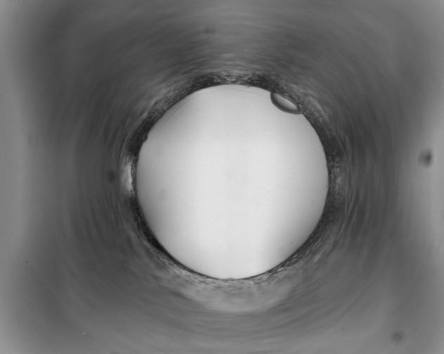 X0000098030042200804181241