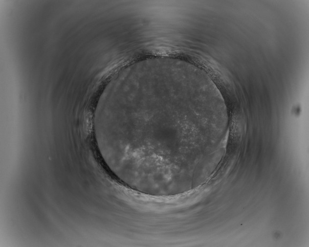 X0000098030043200804181241