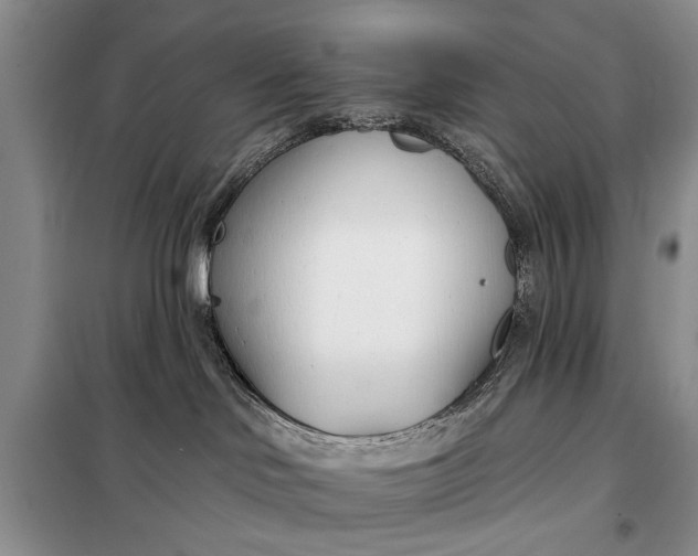 X0000098030046200804181241