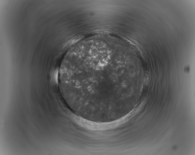 X0000098030047200804181241