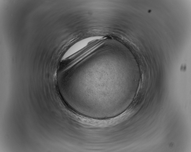 X0000098030048200804181241