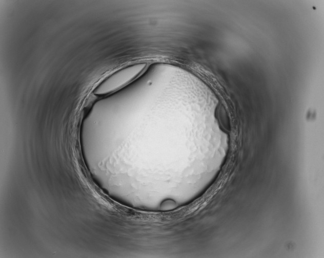 X0000098030049200804181240