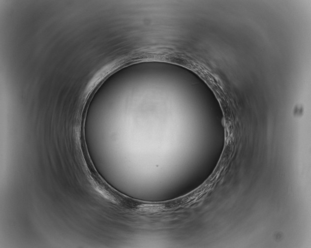 X0000098030051200804181240