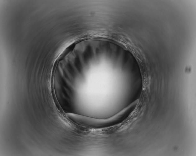 X0000098030052200804181240