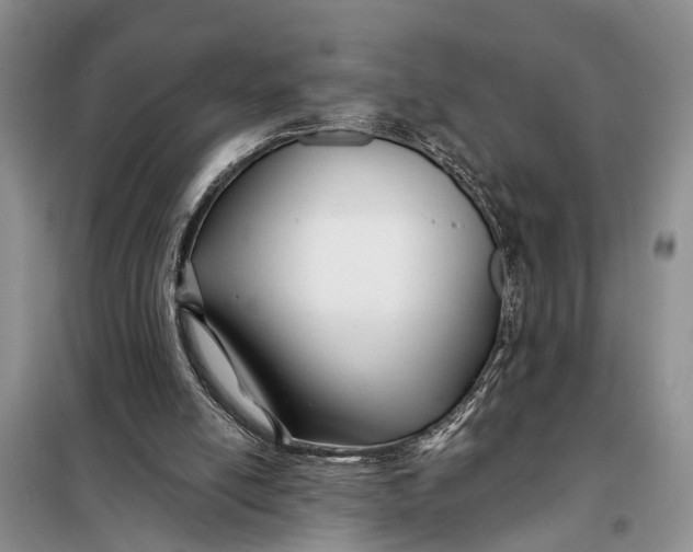 X0000098030054200804181240