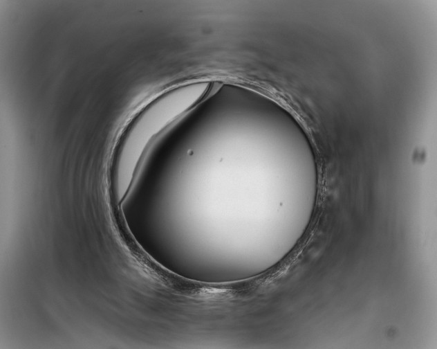 X0000098030055200804181240