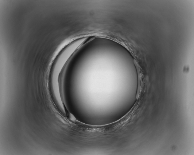 X0000098030056200804181240