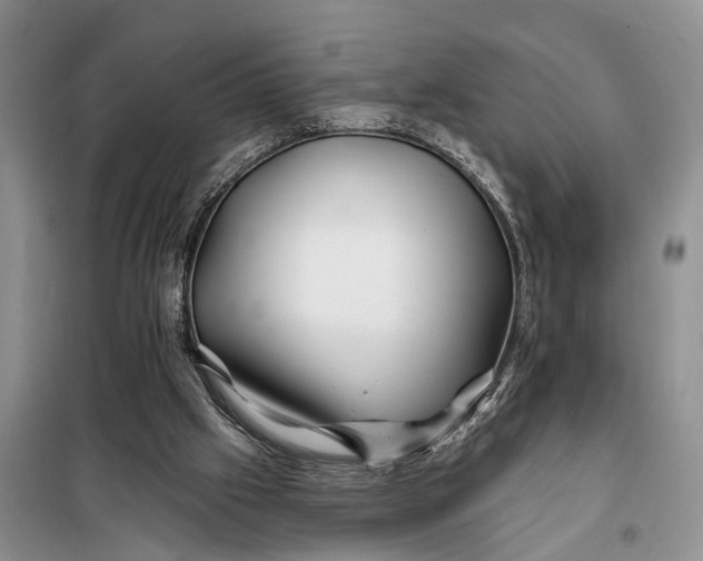 X0000098030057200804181240