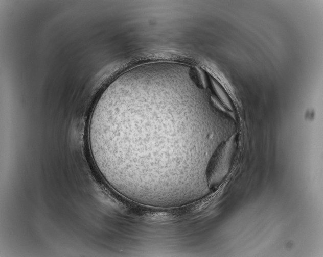 X0000098030058200804181240