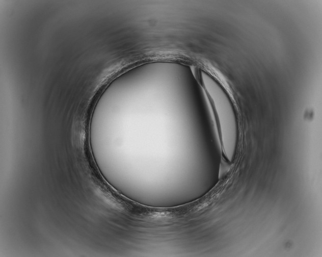 X0000098030059200804181240