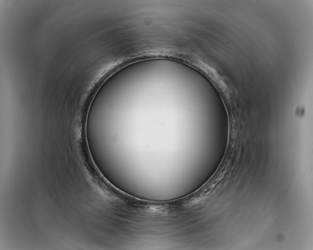 X0000098030060200804181240