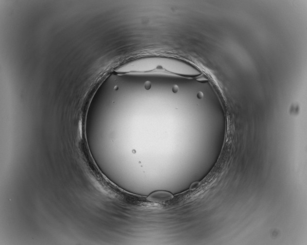 X0000098030061200804181240