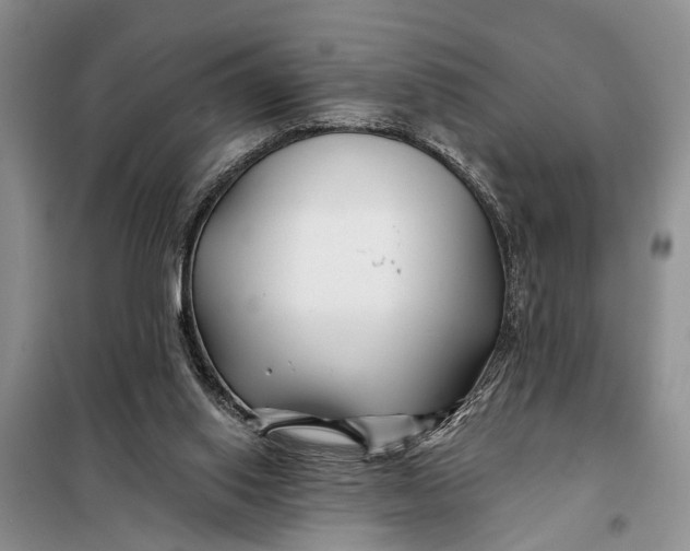 X0000098030062200804181240