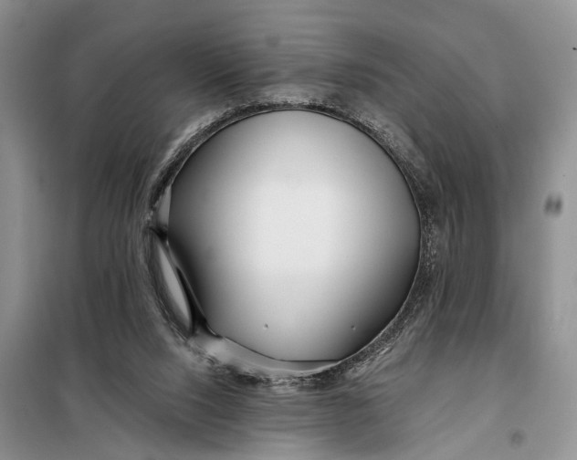 X0000098030064200804181240