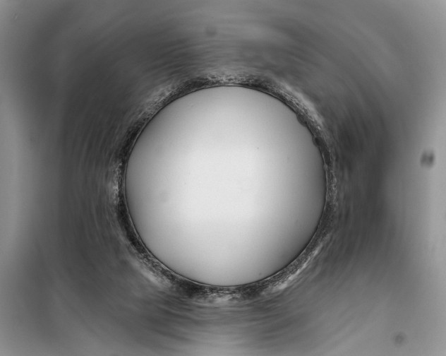 X0000098030065200804181240