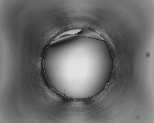 X0000098030066200804181240