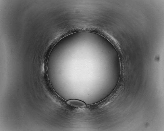 X0000098030067200804181240