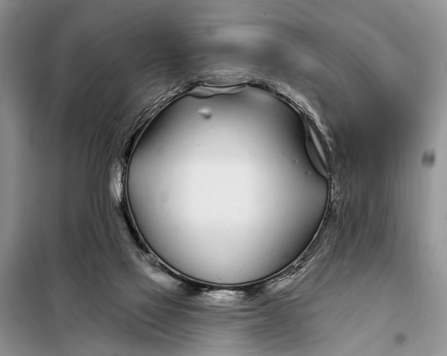 X0000098030069200804181240