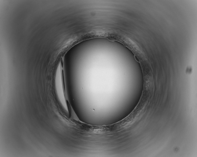 X0000098030072200804181240