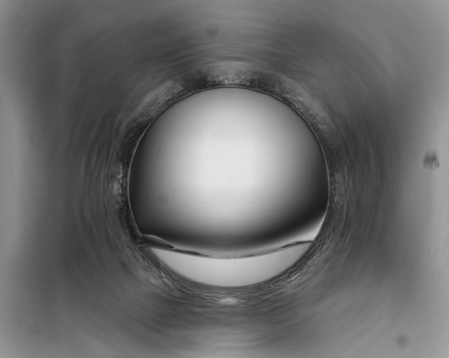 X0000098030073200804181240