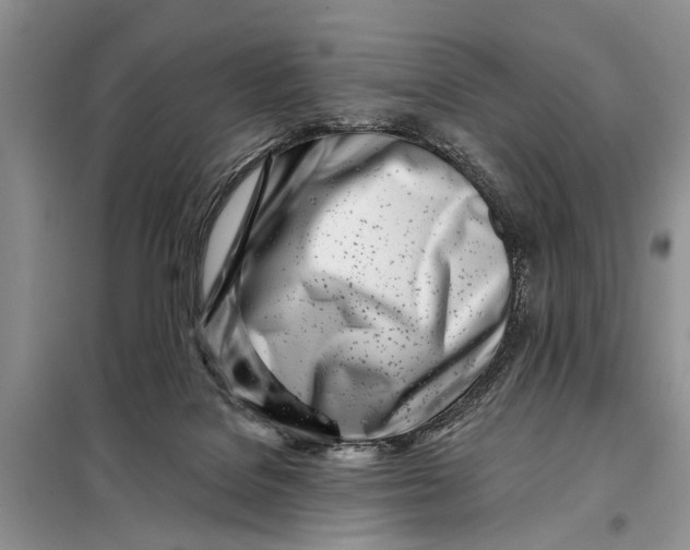 X0000098030076200804181240