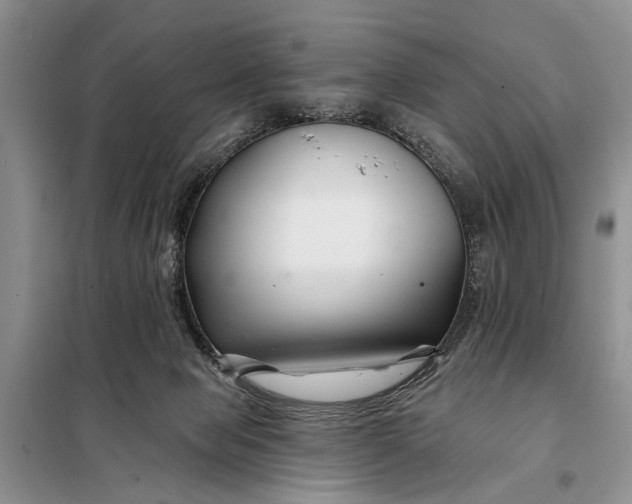 X0000098030077200804181240