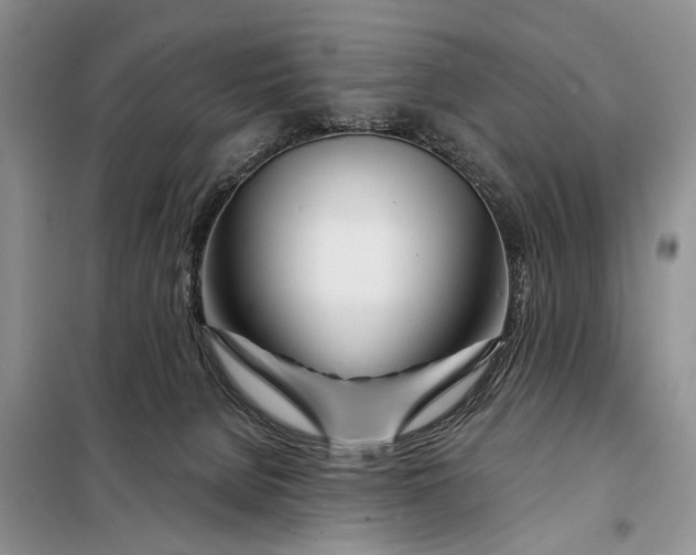 X0000098030080200804181240