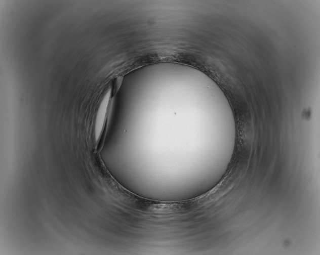 X0000098030082200804181240