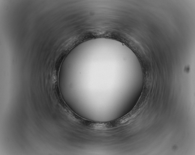 X0000098030085200804181240