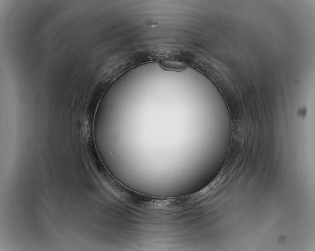 X0000098030086200804181240