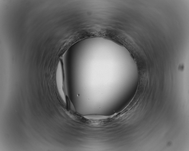 X0000098030088200804181240